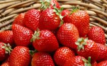 草莓吃多了或腹泻脱钙 春季饮食要增甘少酸