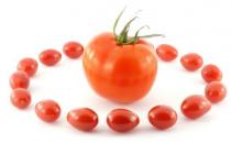 寒性体质应该要如何来减肥