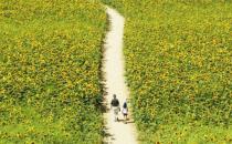 出门旅游睡不好？教你几招让你睡好觉