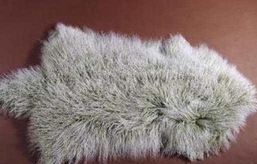 羊毛地垫的清洗保养方法