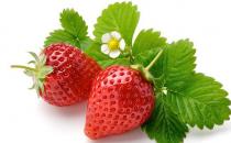 春季吃草莓可能有哪些坏处？
