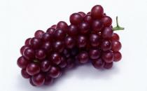 葡萄和葡萄干哪种营养更好一些