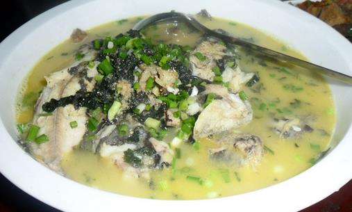 春季吃什么鱼最营养?