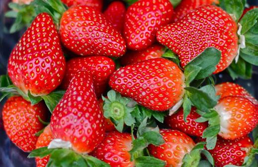 春季适合女人吃的四种水果