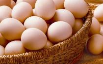 吃鸡蛋能帮助提高老人记忆力吗