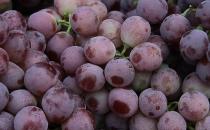 孕妇吃什么补血好？补血的食物与食疗方