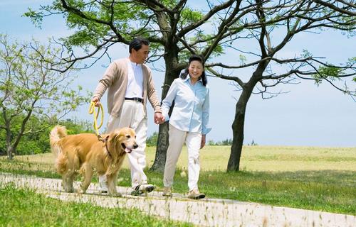 老人散步要注意哪些姿势-360常识网