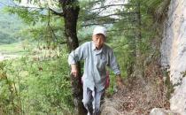 老人爬山有哪些关键点