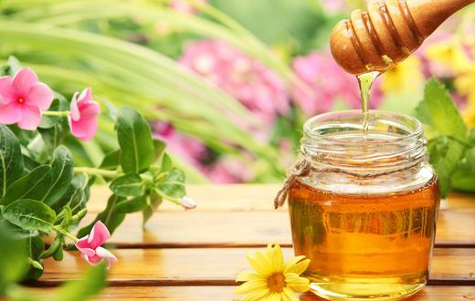 蜂蜜是老人保健防病佳品