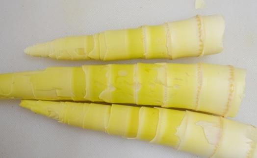 春分节气吃什么蔬菜养生?