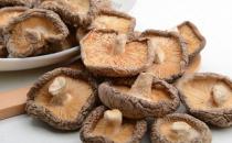 老人吃菌菇能预防心血管疾病