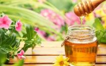 蜂蜜是老人保健防病佳品