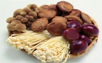 不同的菇类有不同的烹饪方法