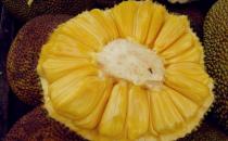 教你菠萝蜜的三新吃法