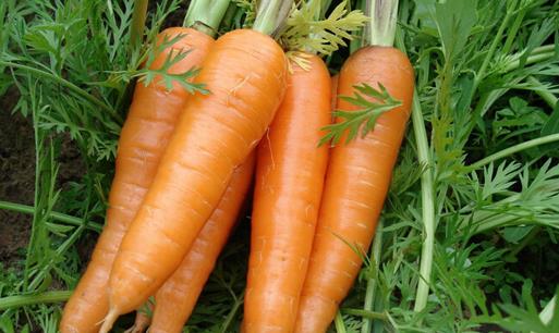 儿童增高饮食八原则 儿童增高吃什么好?