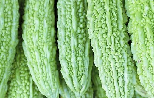 儿童吃苦味菜造血促食欲 苦味菜有哪些?