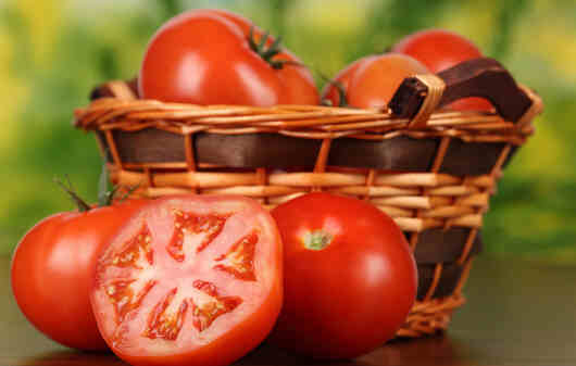 西红柿与什么相克 12种克星