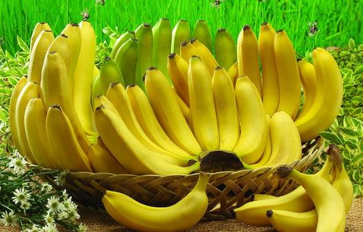 香蕉有什么营养价值?怎样保存香蕉不变黑?-36