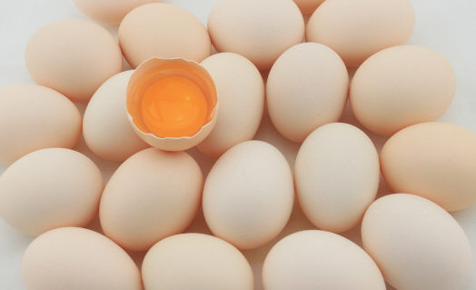 鸡蛋不能和什么一起吃