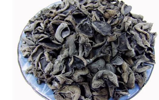 孕妇在怀孕期间什么食物不能吃