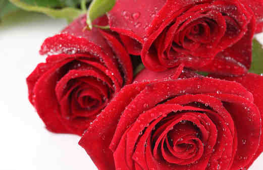 疏肝理气的食物有哪些