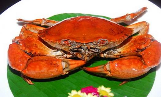 孕期吃10种肉类会伤害胎儿