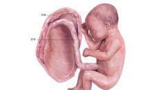 预示胎儿有危险的10个信号