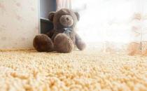 地毯的清洁方法 地毯的搭配技巧
