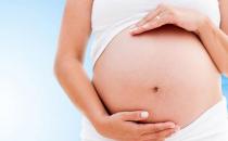 怀孕各阶段的症状及营养需求