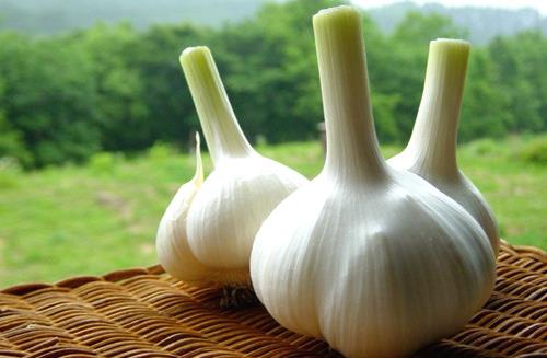 生吃一物可一辈子远离癌症