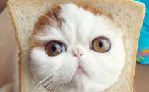 职场女性如何应对不平等？