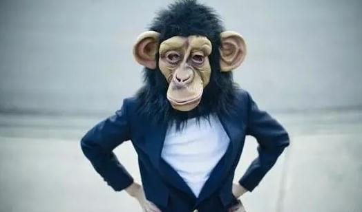 为什么你那么能干却没有被提升？