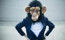 为什么你那么能干却没有被提升？