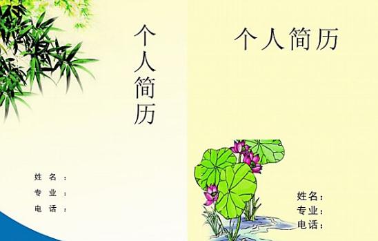 求职简历通常用哪些类型？