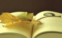 求职路上不要踩到这些雷区