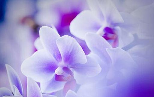 招聘季如何写好你的个人简历？