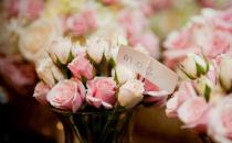 面试时展示你的职业风采