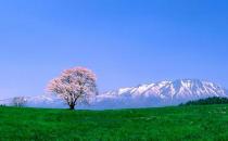 90后初入职场如何排除职场路障？