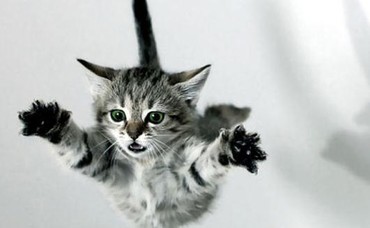 职场跳槽必备指南：巧吃回头草