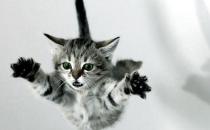 职场跳槽必备指南：巧吃回头草