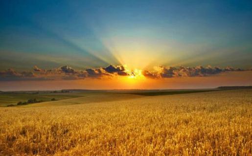 告诉你为什么秋天不能跳槽