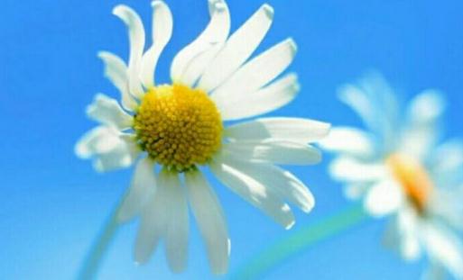 春节期间跳槽的理由：时间充裕