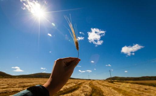 公司内部跳槽的成功法则