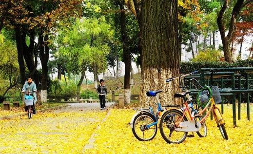 盲目转行可能使职业滑坡