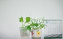 看看哪种白领减压方法最有效