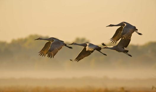 20个妙招让你保持职场的新鲜感
