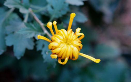 你在职场上为什么总是失败