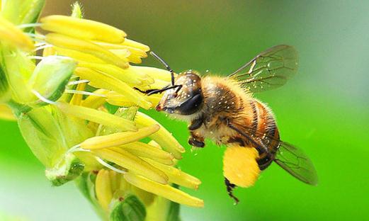 成功者会用这些话激励自己