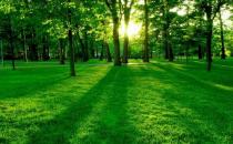 职场上需要注意的事项：竞争并非都带来益处