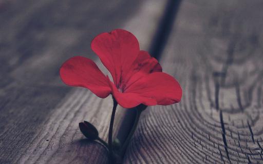 遇到愤怒的事情要如何平复心情?